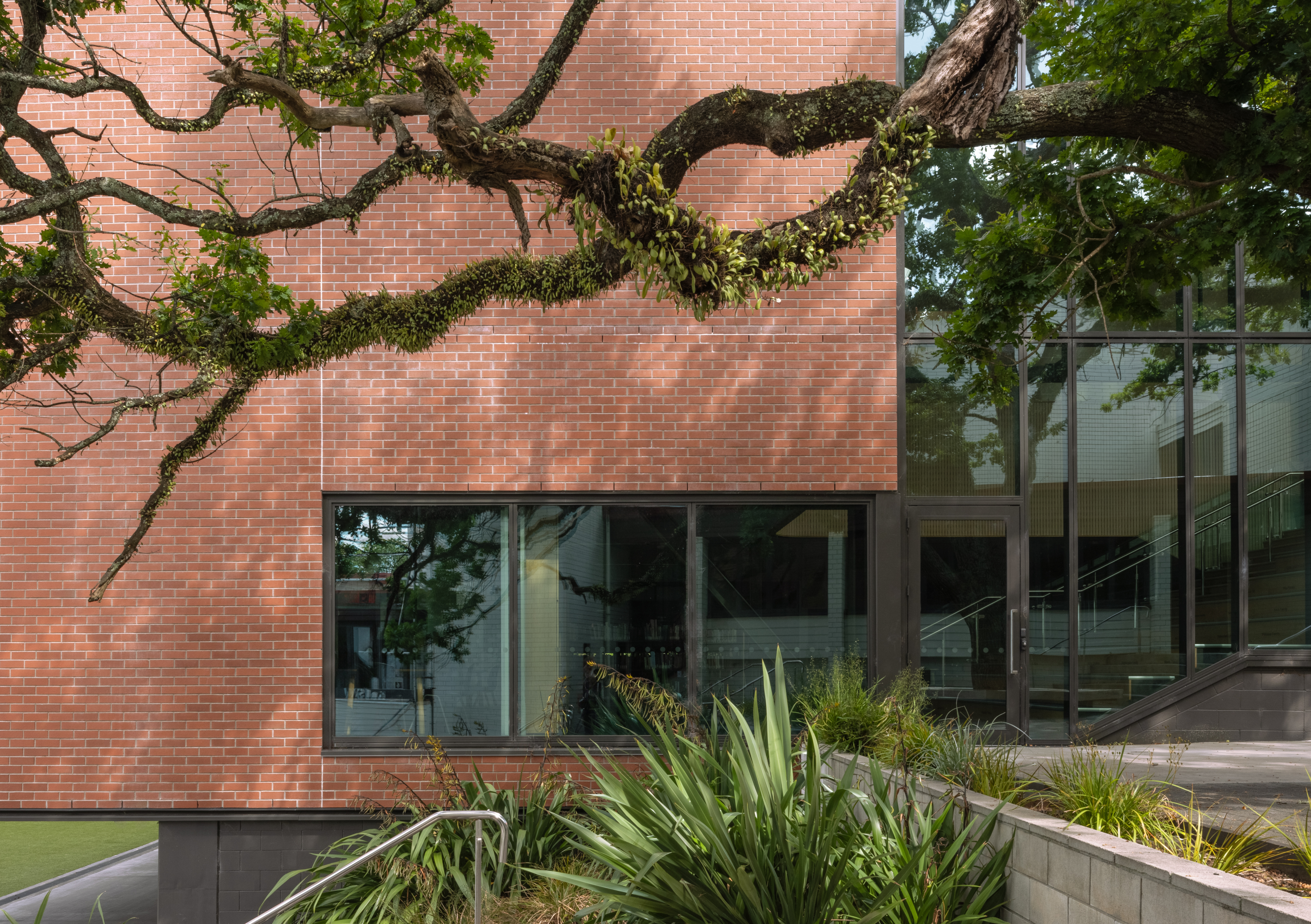 Te Ara Matauranga Description Jasmax 4